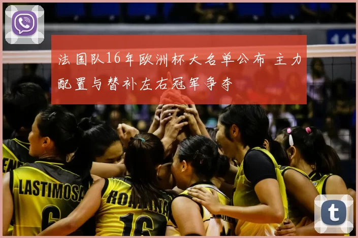 法国队16年欧洲杯大名单公布 主力配置与替补左右冠军争夺