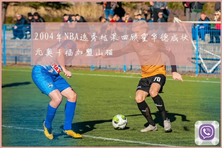 2004年NBA选秀结果回顾霍华德成状元奥卡福加盟山猫