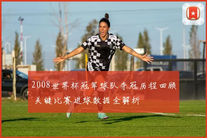 2008世界杯冠军球队夺冠历程回顾 关键比赛进球数据全解析