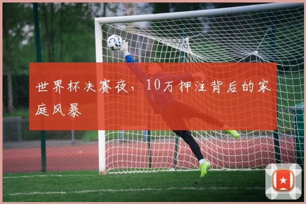 世界杯决赛夜,10万押注背后的家庭风暴