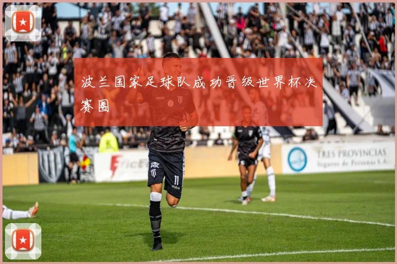 波兰国家足球队成功晋级世界杯决赛圈